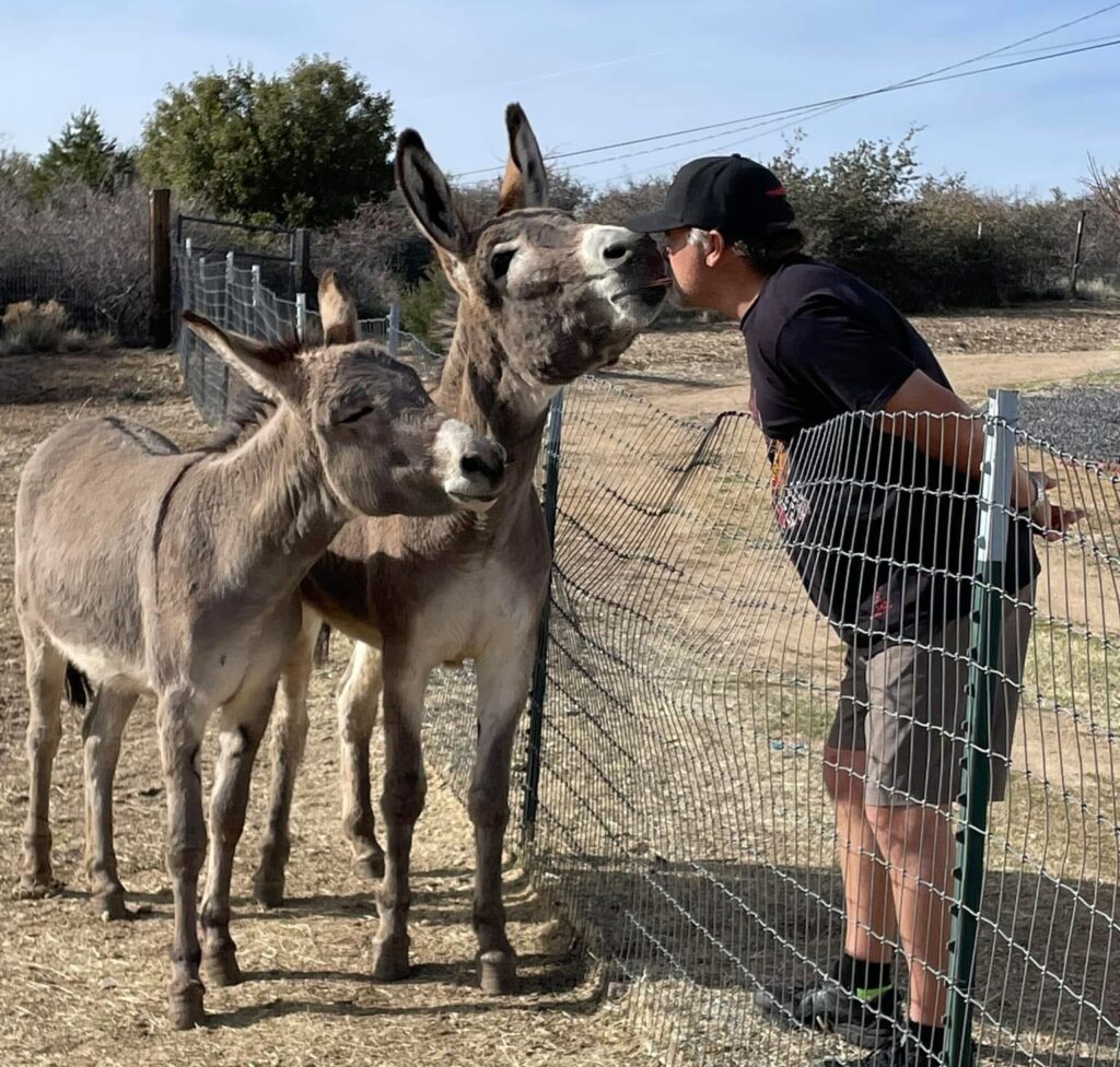 donkeys man donkeys man