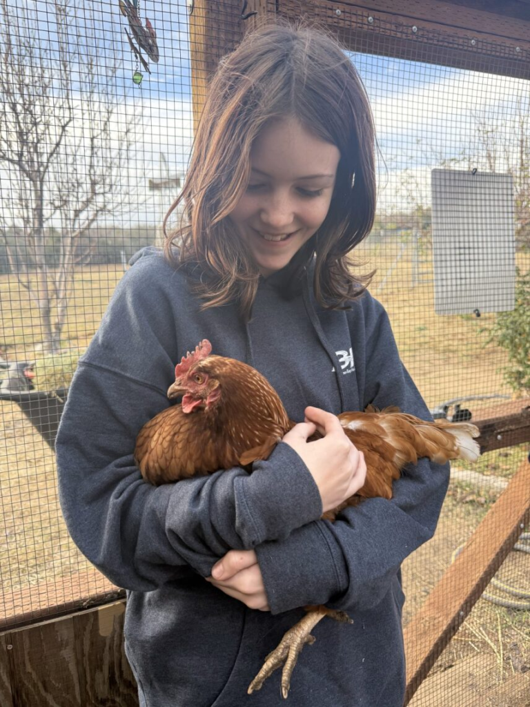 chicken girl.webp chicken girl.webp