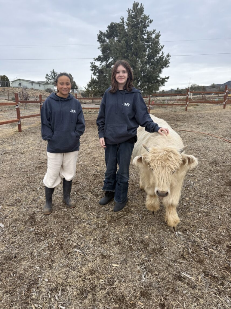girls cow.webp girls cow.webp
