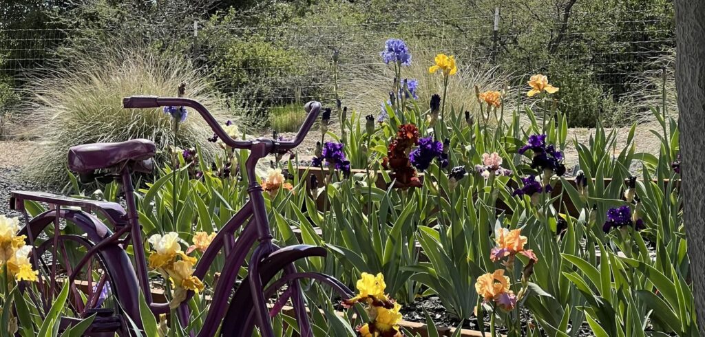 bike main page bike main page